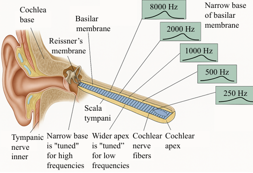 Graphical Abstract